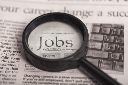 job search